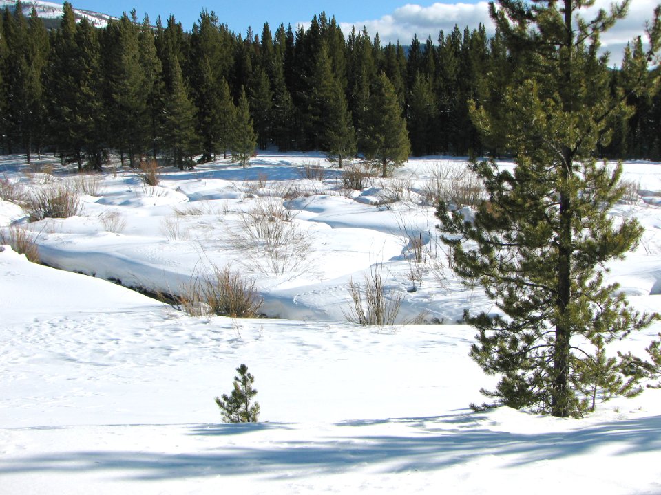 Snow Survey114.jpg