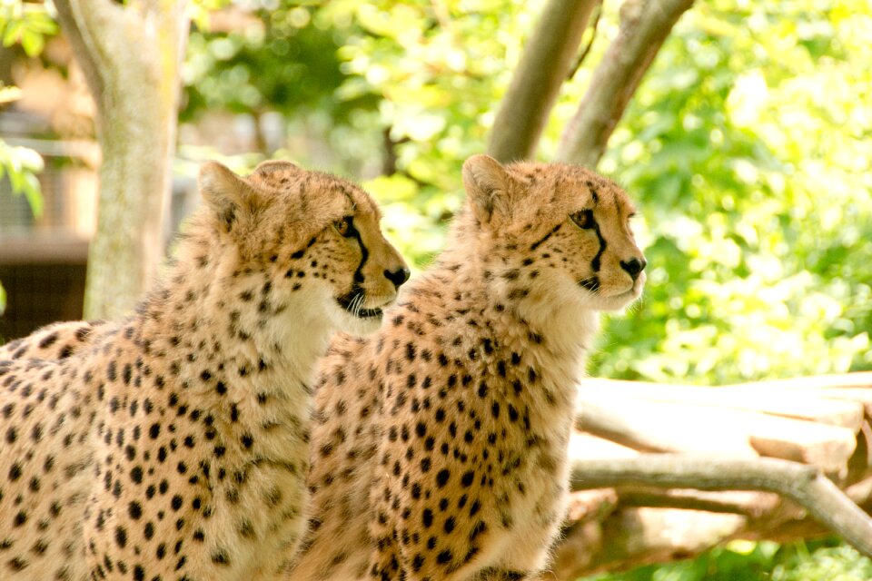 Nature vacations national park