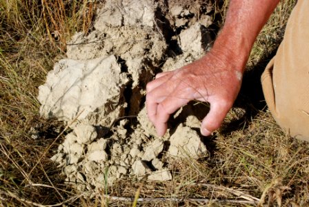 Soil Survey126