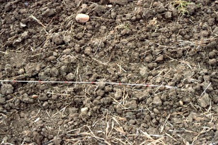 Crop Residue Management09.tif