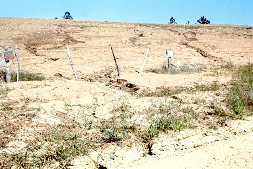 Soil Survey96.tif