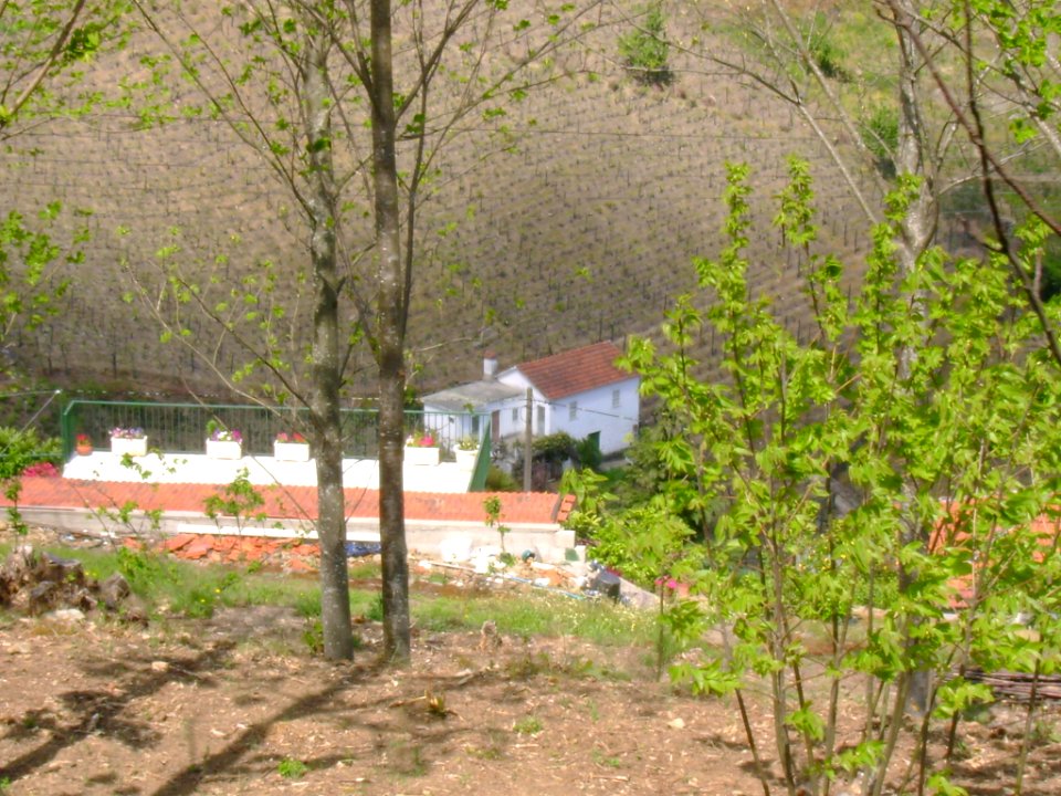 DSC05401