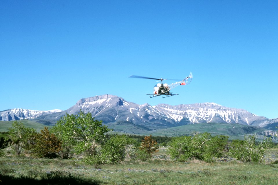 Critical Area Stabilization 18.jpg