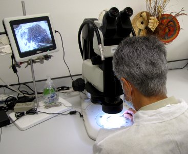 20200731-USDA-PPQ-02