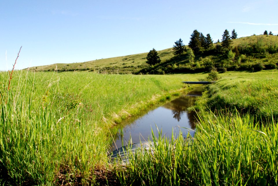 Irrigation86