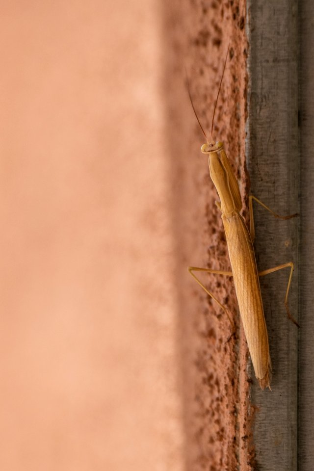 20190910-OPPE-LSC-1187