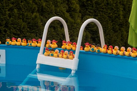 Refresh swim summer