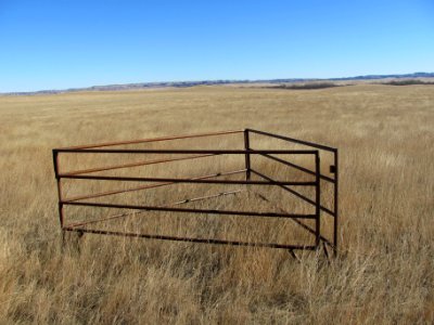 Rangeland163