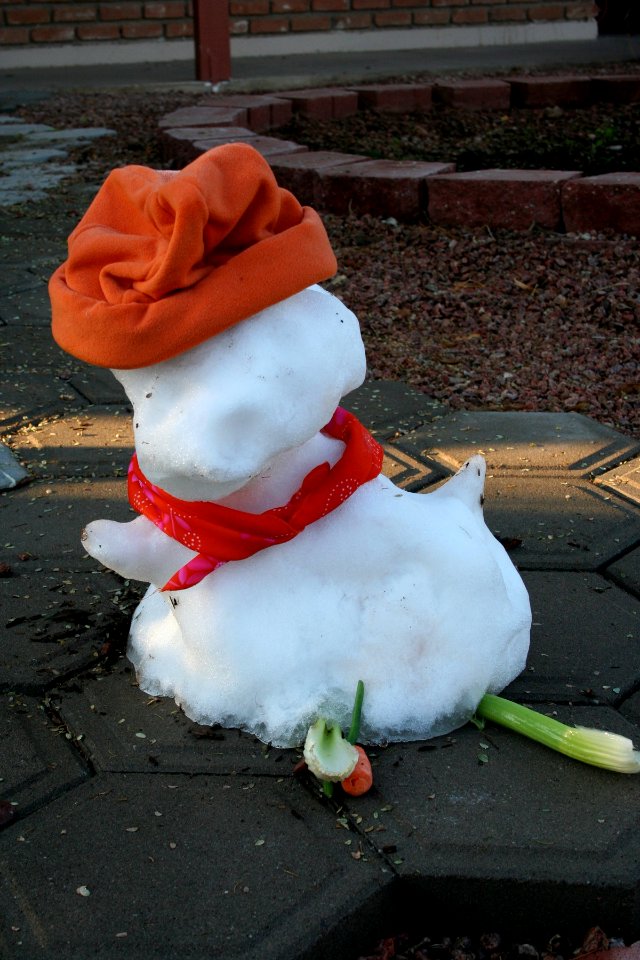 Frosty Day 2