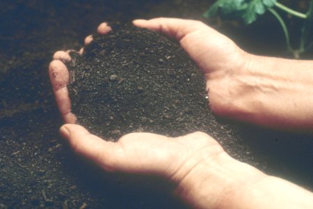 Soil Survey09.tif