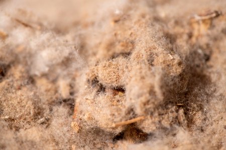 20181108-APHIS-LSC-0416