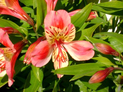DSC05389