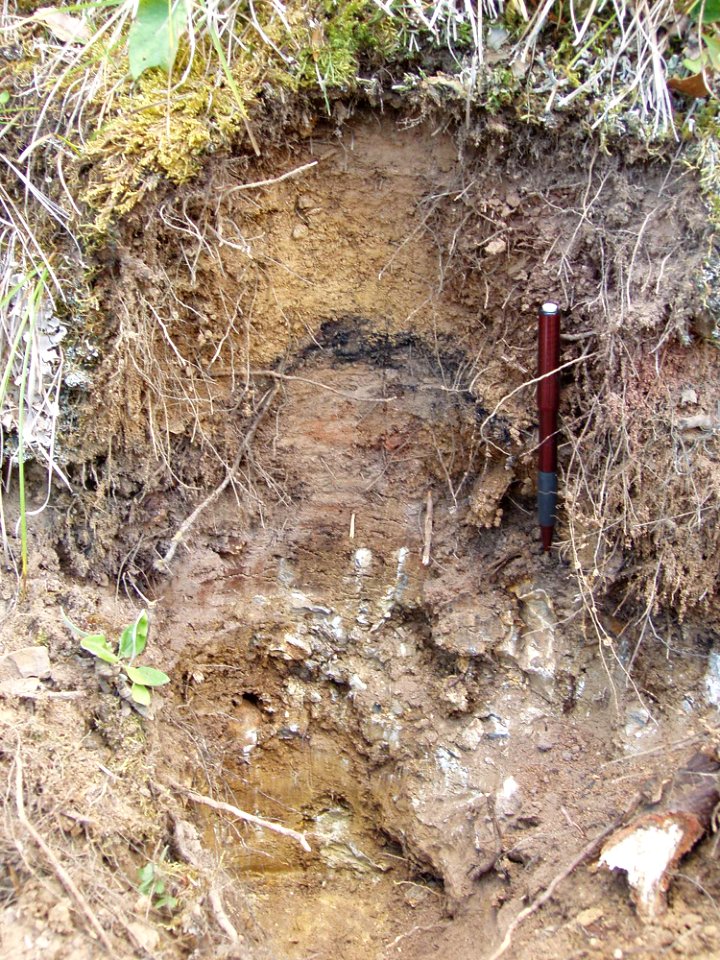 Soil Survey111.tif