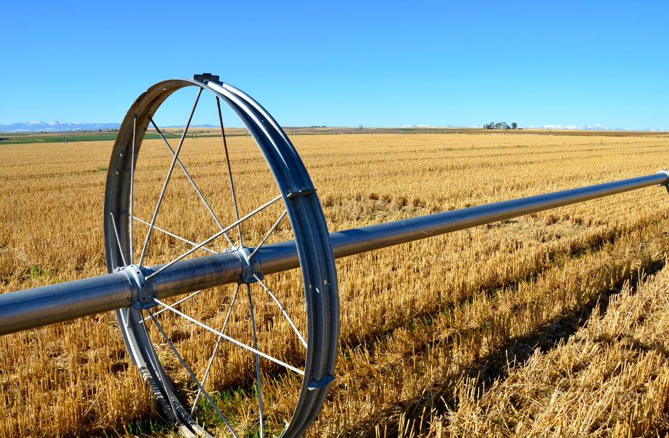 Irrigation83.JPG