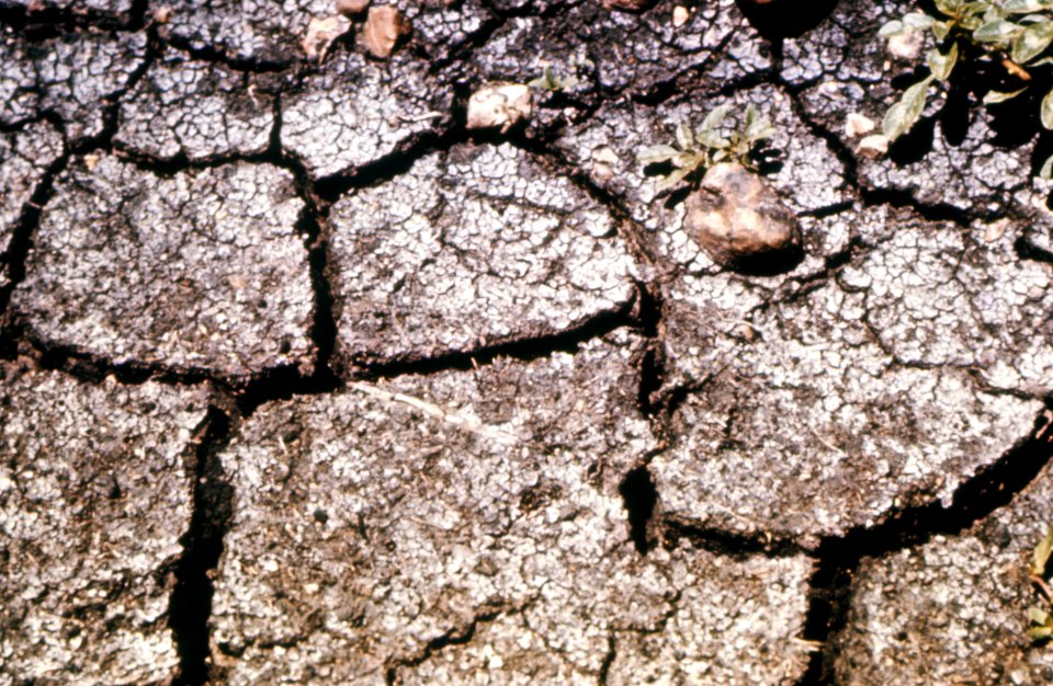 Drought05.tif