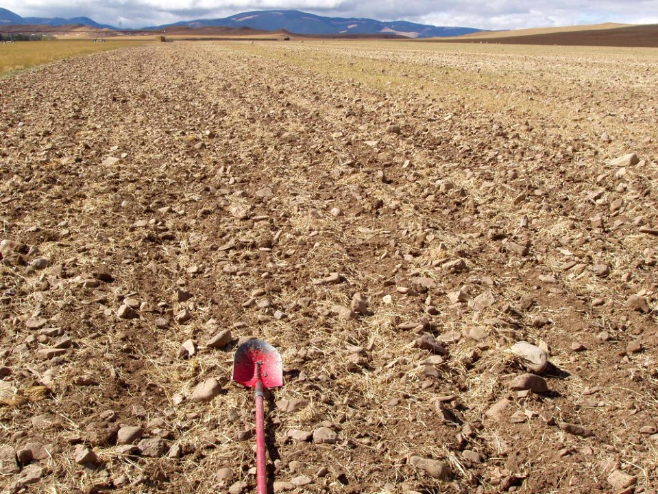 Soil Survey113.tif