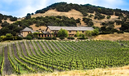 Napa valley winery landscape