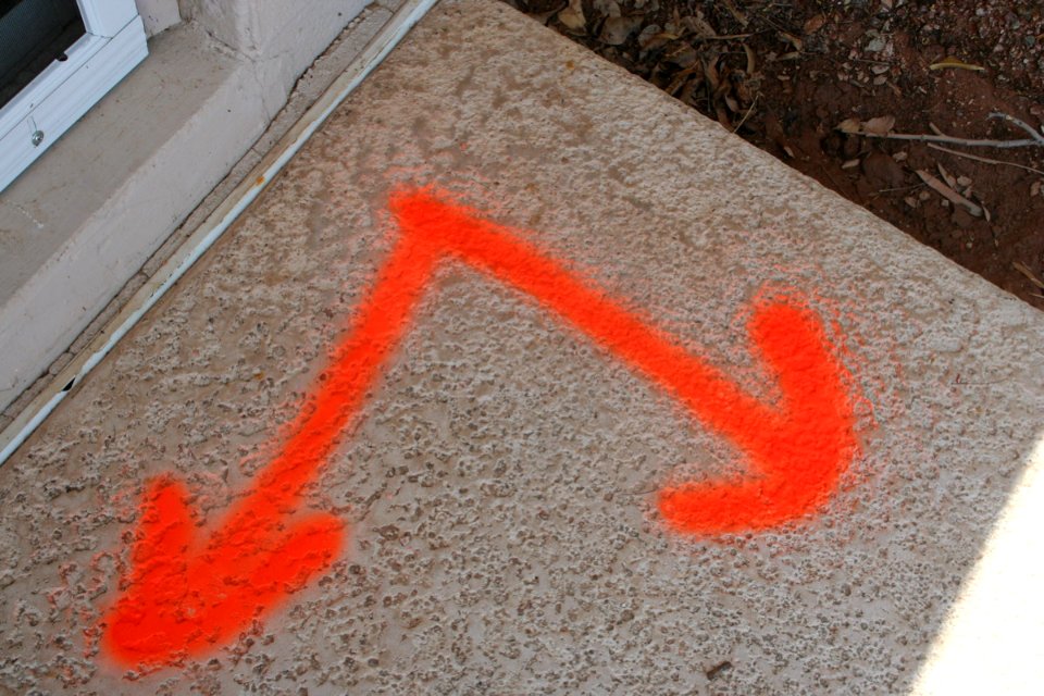 Cut on the Dotted Lines (3)