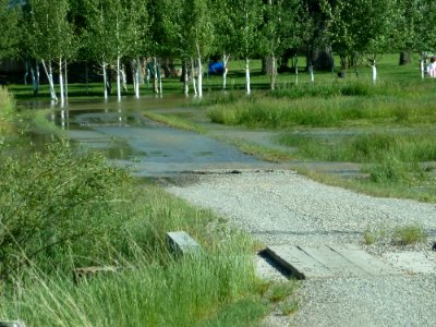 Floods119