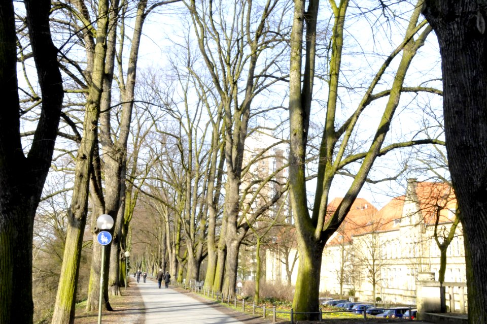 Herrenteichswall