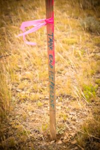 6881 NRCS projects.jpg