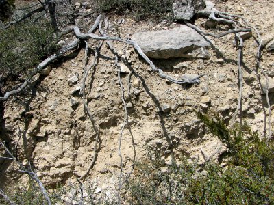 Erosion Myers 001 05-02-09