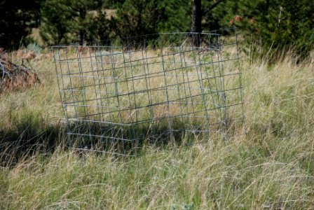 Rangeland Ladies Day 012