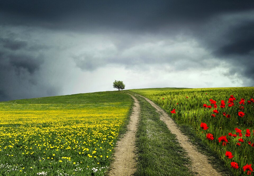 Rural beautiful horizon
