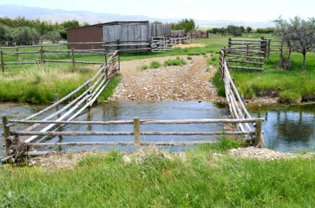 Riparian127