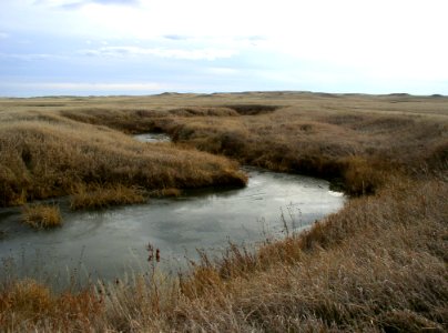 Riparian110.tif