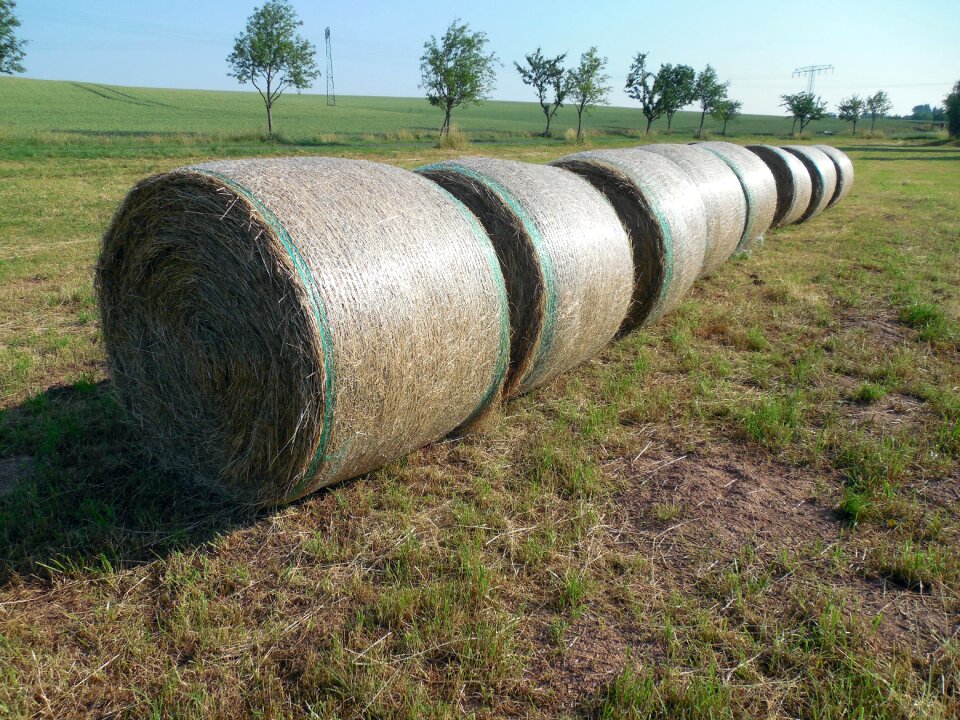 Stubble summer agriculture