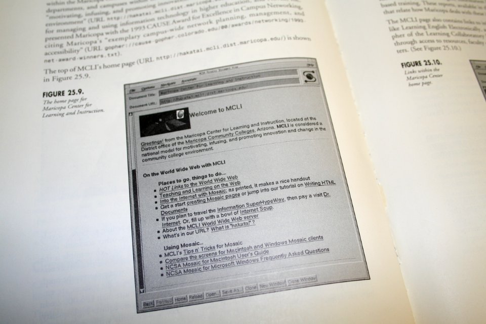 Early Web Site in Book