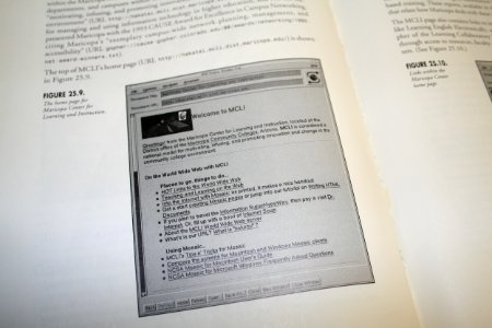 Early Web Site in Book