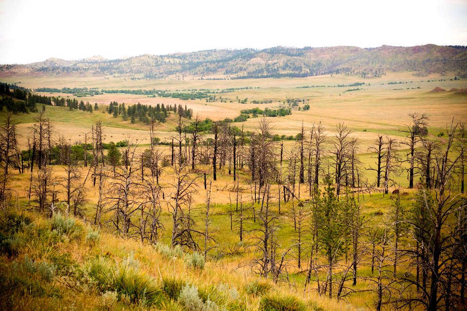 6463 NRCS projects.jpg