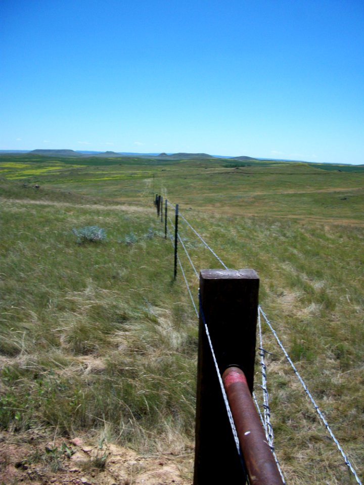 Rangeland152