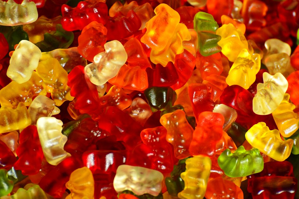 Bear delicious color