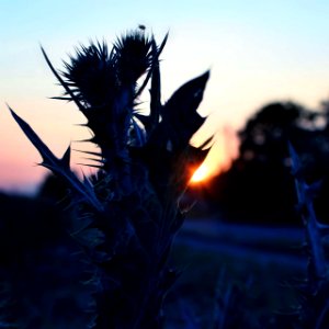 photo 2018-09-30 23-43-25 (2)