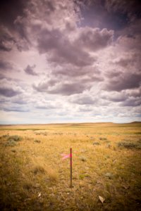 6883 NRCS projects.jpg