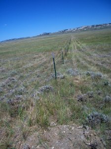 Rangeland153