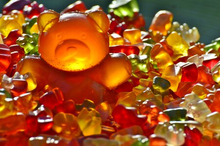 Gummi bear bear delicious