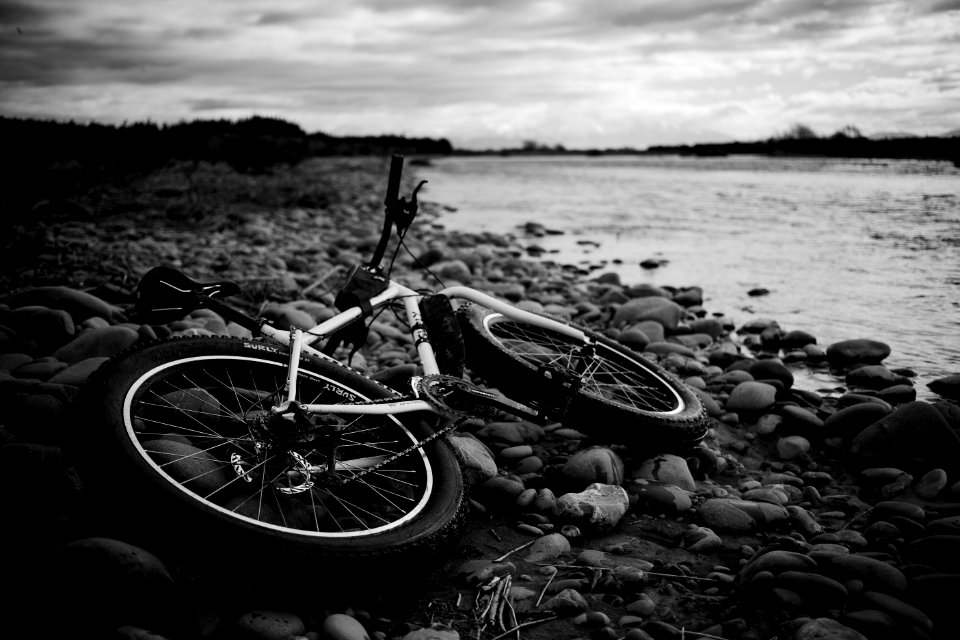 Rakaia River