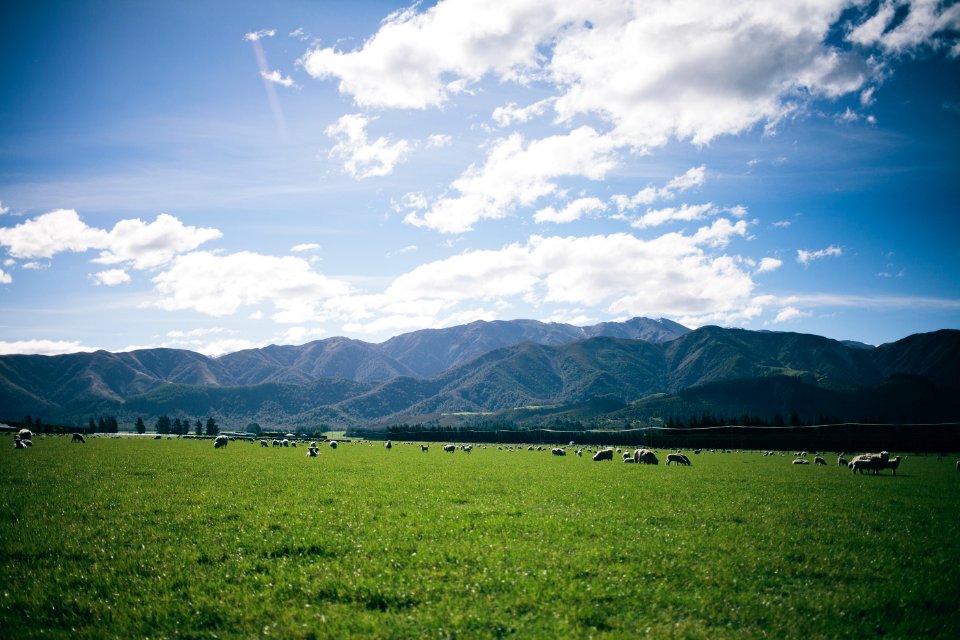 Rakaia Gorge