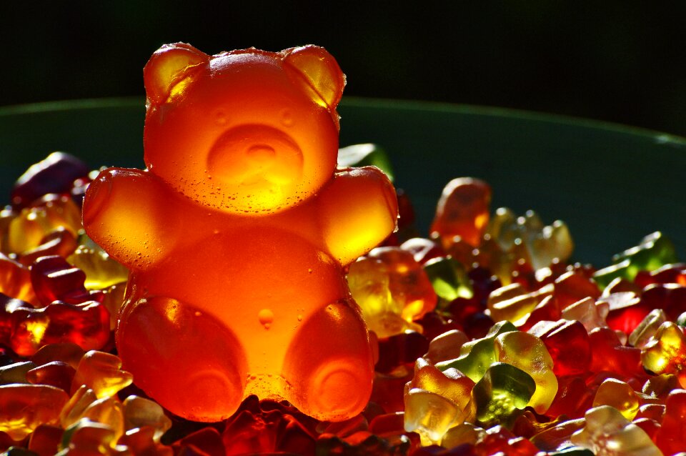 Gummi bear bear delicious