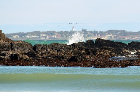 Coast beach lagoon