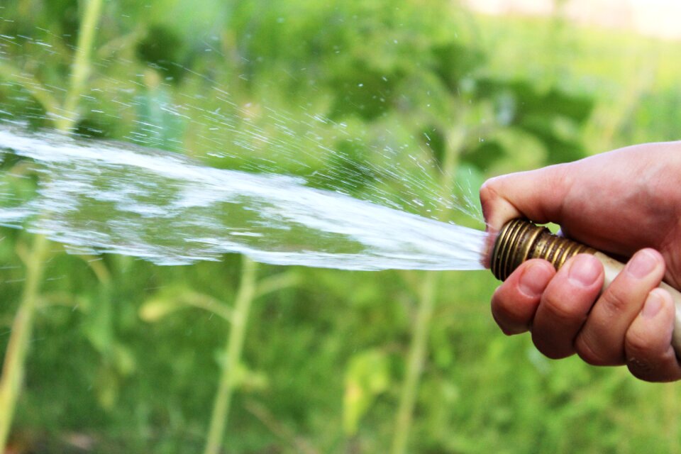 Wet gardening grass