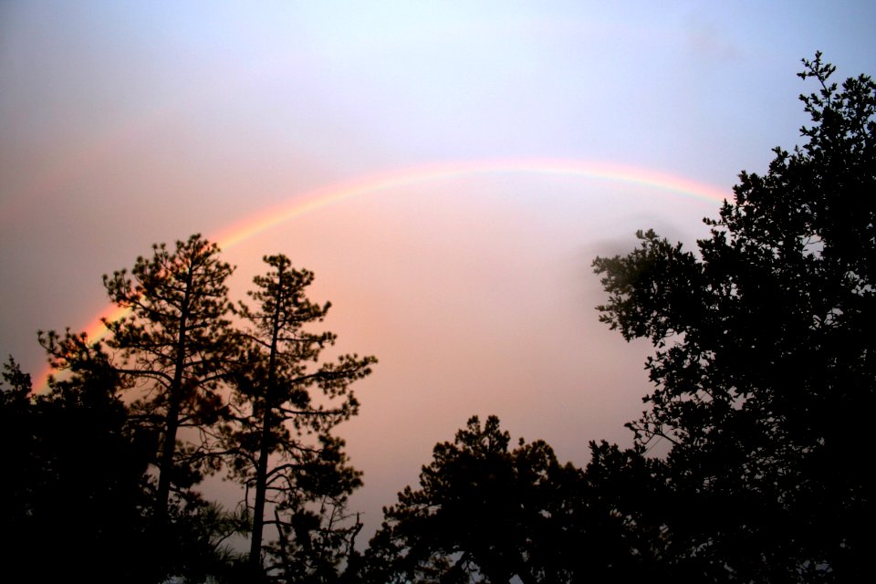 Strawberry Under the Rainbow