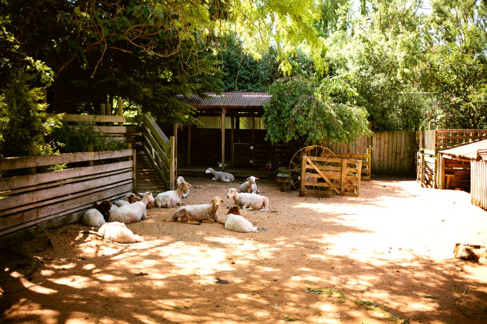 Willowbank Wildlife Reserve