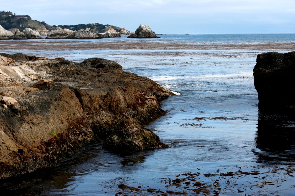 One From Point Lobos