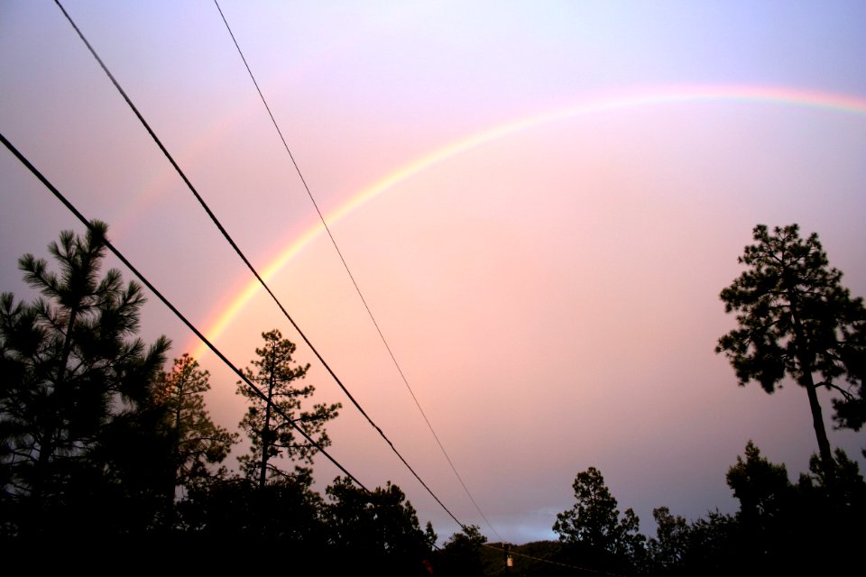 Strawberry Under the Rainbow
