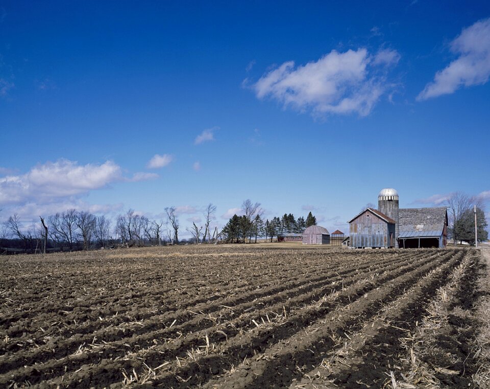 Agriculture rows plowed